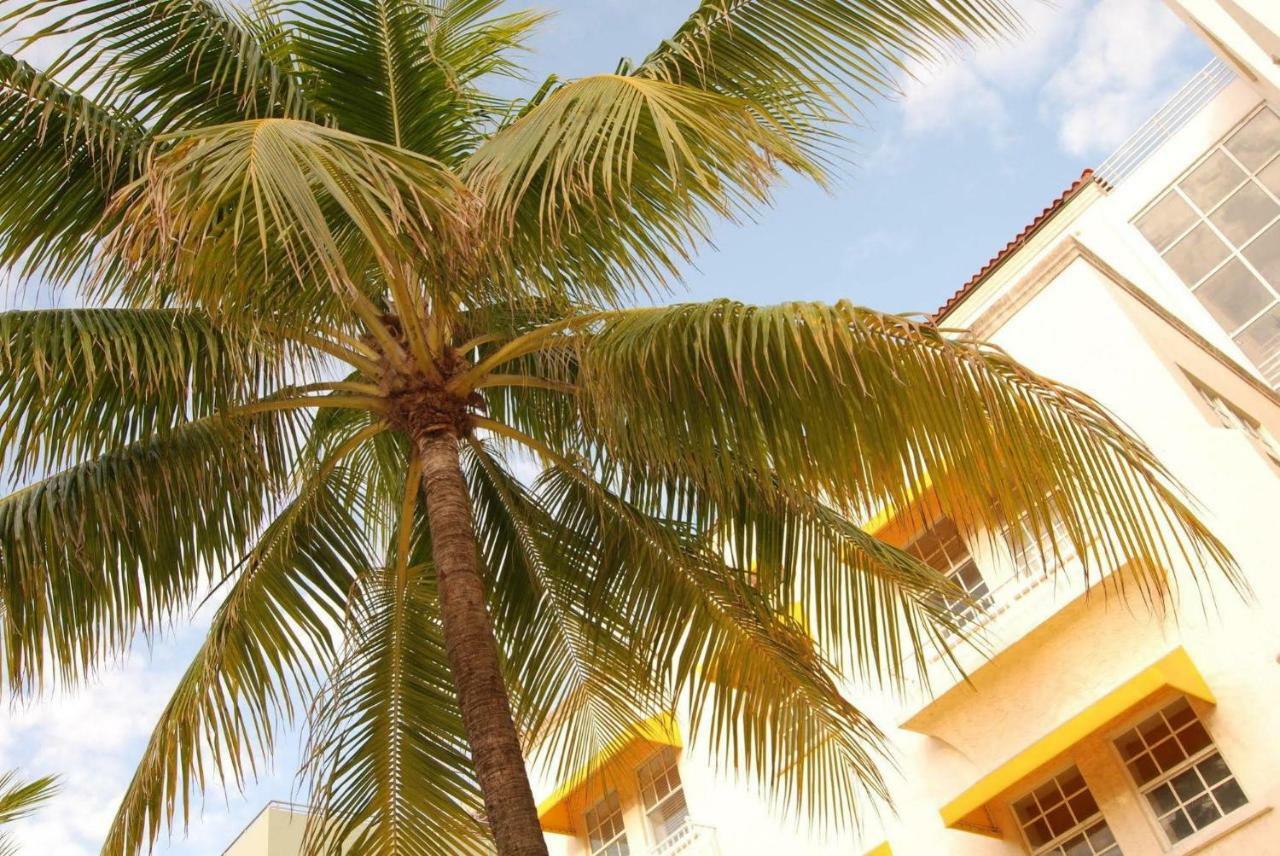 2 Bedroom Ocean Drive Newly Renovated Miami Beach Luaran gambar